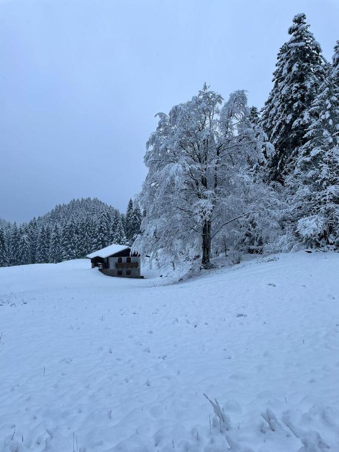 Chalet Relax Molveno E Andalo Dolomiti Villa Kültér fotó