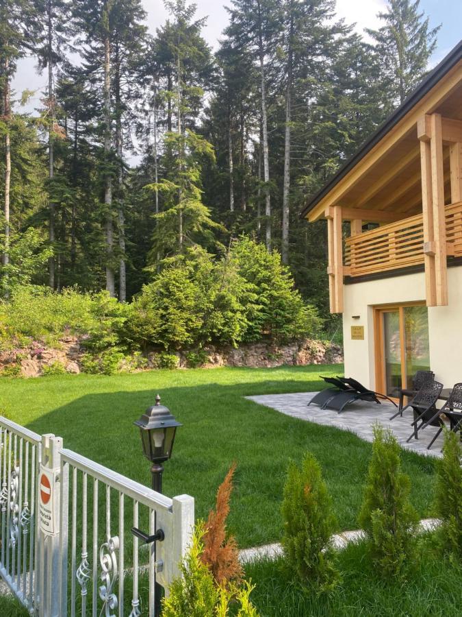 Chalet Relax Molveno E Andalo Dolomiti Villa Kültér fotó
