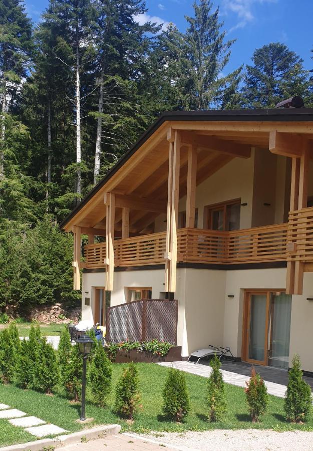 Chalet Relax Molveno E Andalo Dolomiti Villa Kültér fotó