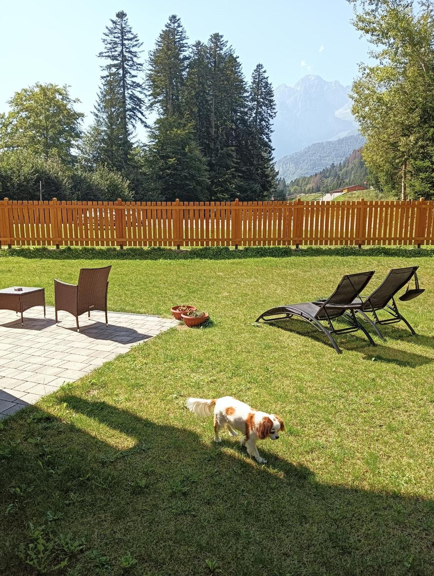 Chalet Relax Molveno E Andalo Dolomiti Villa Kültér fotó